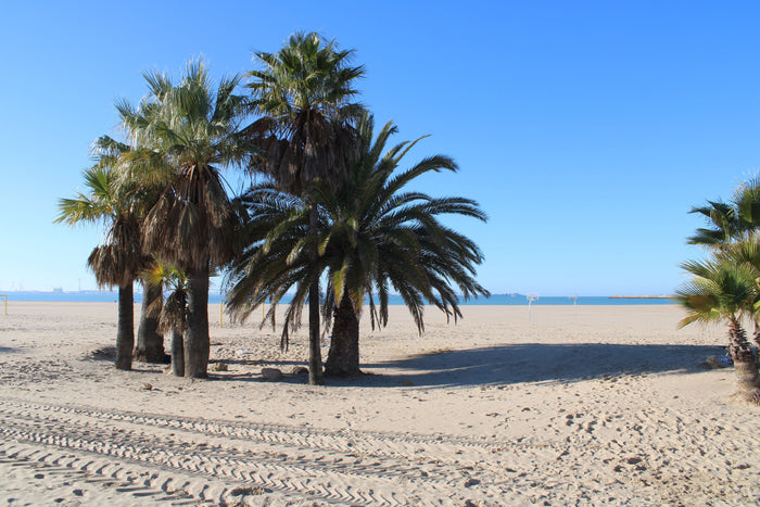 Onko Torrevieja turvallinen vuonna 2026? – Ajankohtainen opas suomalaisille